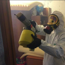 Уничтожение клопов в квартире. Нея